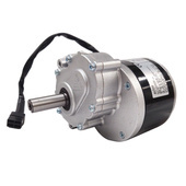 Silnik DC z przekładnią 24V 250W 1016WZ do wózków inwalidzkich elektrycznych motoreduktor PMDC 160 RPM 1016LZ